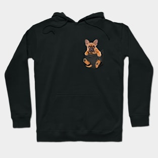 French bull dog with love Hoodie